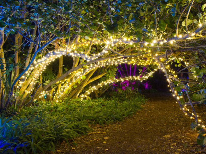 Plante si ghirlande luminoase pentru atmosfera magica