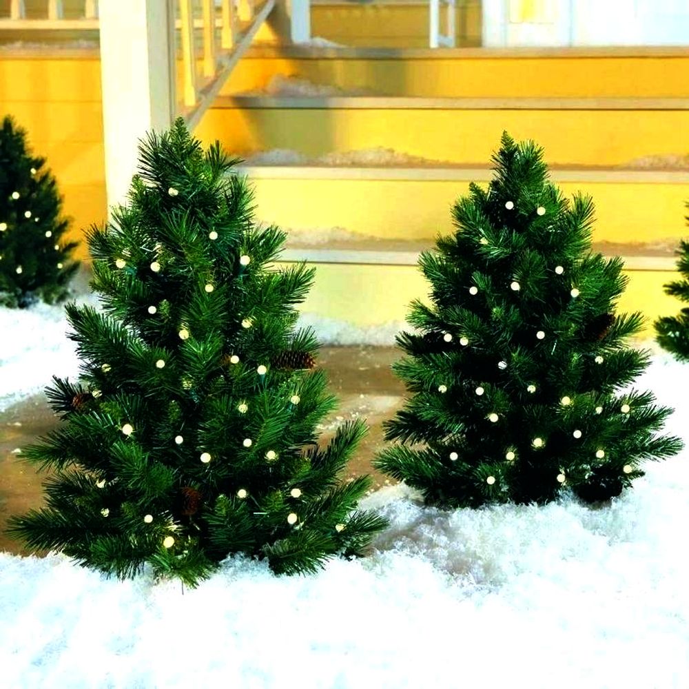 Ianuarie în lumina ghirlandelor luminoase