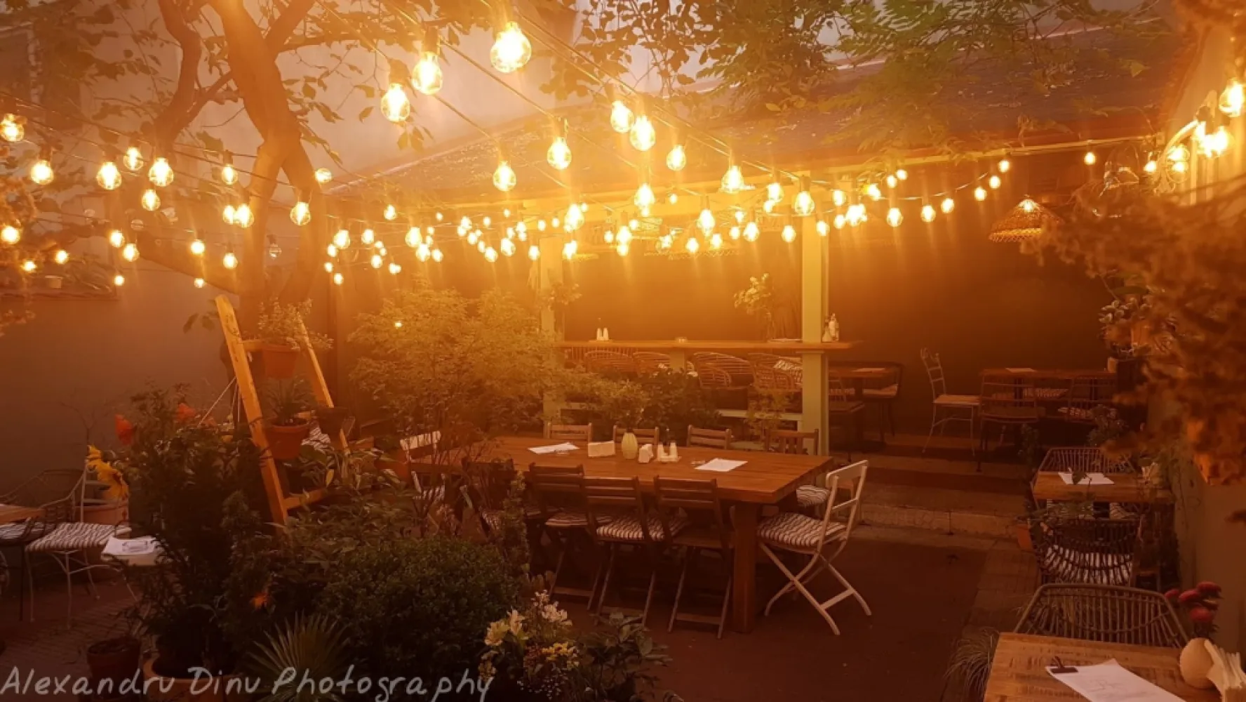 Ghirlandă Luminoasă 110M cu 220 Becuri Bec 4 LEDuri Filament, 4W, din Plastic, E27, A60, Lumina Foarte Calda, de Exterior, Cablu N/A.