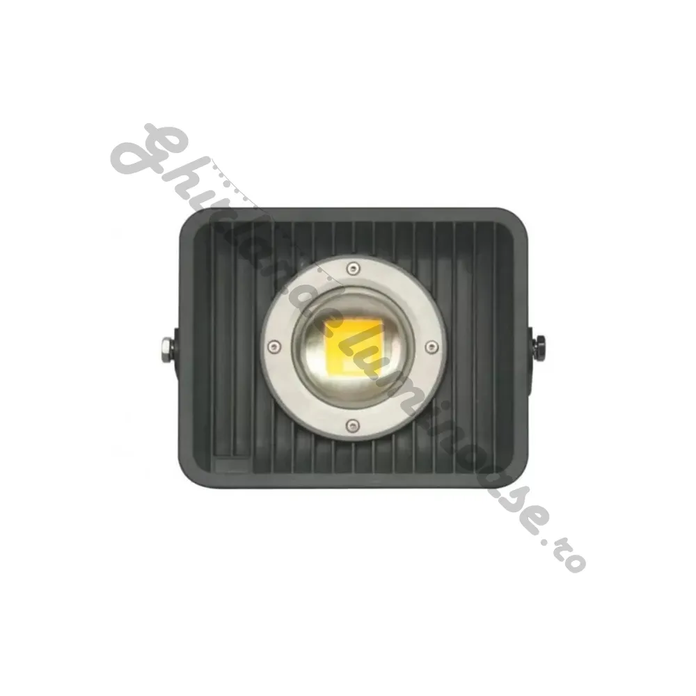 Proiector Grill 50W LED COB cu Lupa