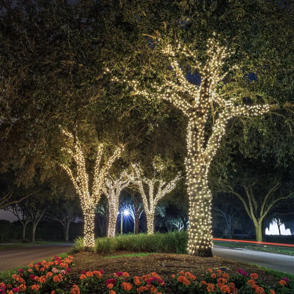Ghirlanda Luminoasa Decorativa 20M cu 1000 LEDuri, Cablu Verde Inchis, Lumina Calda, Conectabila, de Exterior