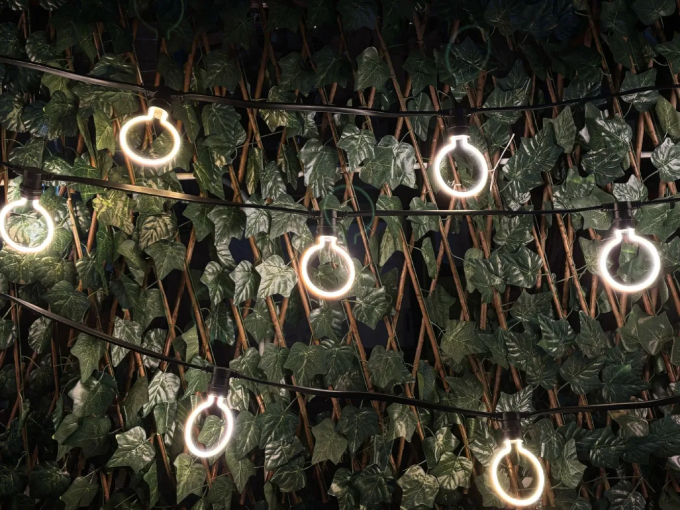 Ghirlandă Luminoasă 30M cu 30 Becuri Bec LED cu Efect Neon 4W, din Plastic, Dimabil, E27, G95, Lumina Foarte Calda, de Exterior, Cablu Negru fără Pendul.