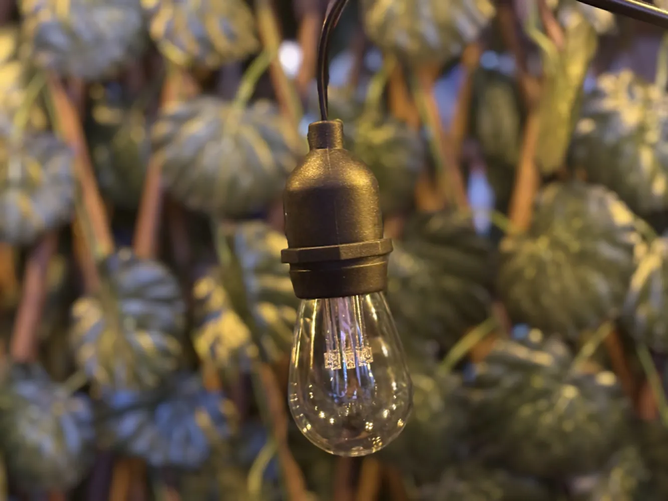 Ghirlandă Luminoasă 25M cu 25 Becuri Bec Transparent Retro 9 LEDuri, 1W, din Plastic, E27, S14, Lumina Foarte Calda, de Exterior