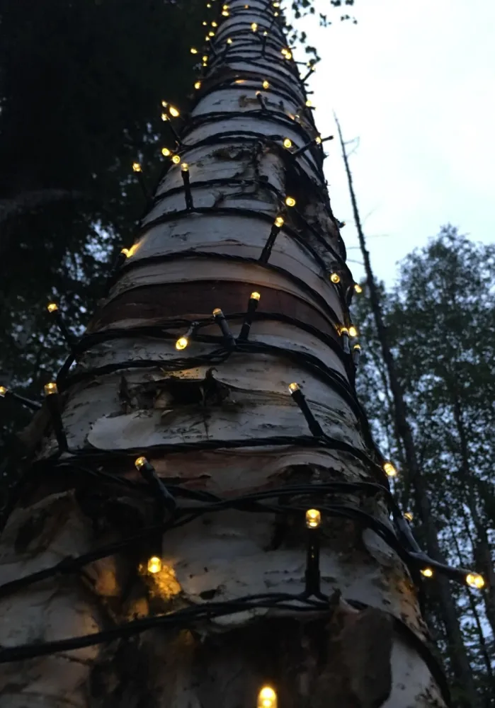 Ghirlanda Luminoasa 20m cu 200 LEDuri, Cablu Verde Inchis, Lumina Calda, de Exterior